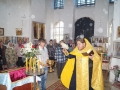 DSC07100
