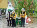 sam_2063