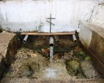 IMG_1456
