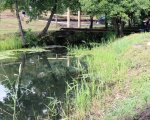 IMG_1460