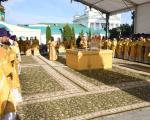 mini_DSC_2530
