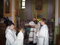 DSC06184
