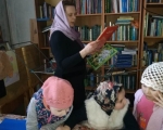 IMG-20190317-WA0041