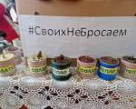 IMG-20230204-WA0013