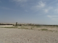DSC02748